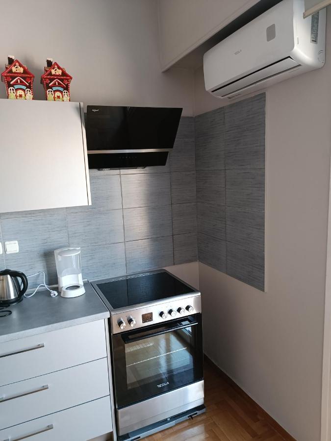 דירות The Athens Museum Penthouse 120Sqm Lycabettus View מראה חיצוני תמונה